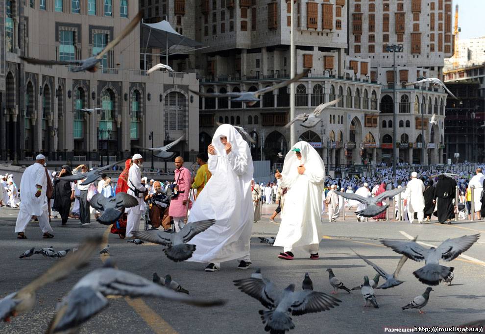 Хадж 2011 в Саудовской Аравии